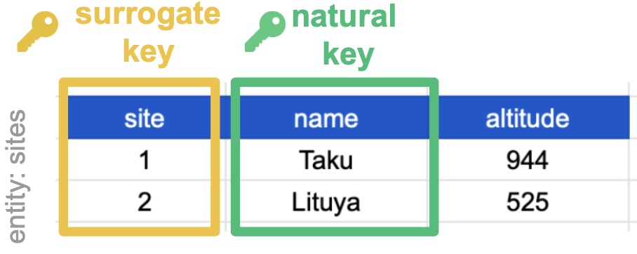 A diagram showing the difference between surrogate and natural keys. A surrogate key is an arbitrary value that is used as a primary key, such as an ID number. A natural key is a value that has meaning in the real world, such as a site name or a species code.