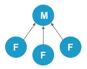A circle with a capital letter 'M' in the interior is connected to three circles, each with a capital letter 'F'