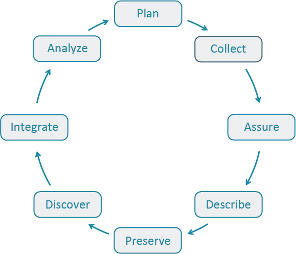 Data life cycle wheel showing the eight DataONE stages in a circle (Plan → Collect → Assure → Describe → Preserve → Discover → Integrate → Analyze)