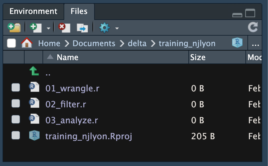 Screen capture of RStudio's 'files' pane with three files and the .Rproj file