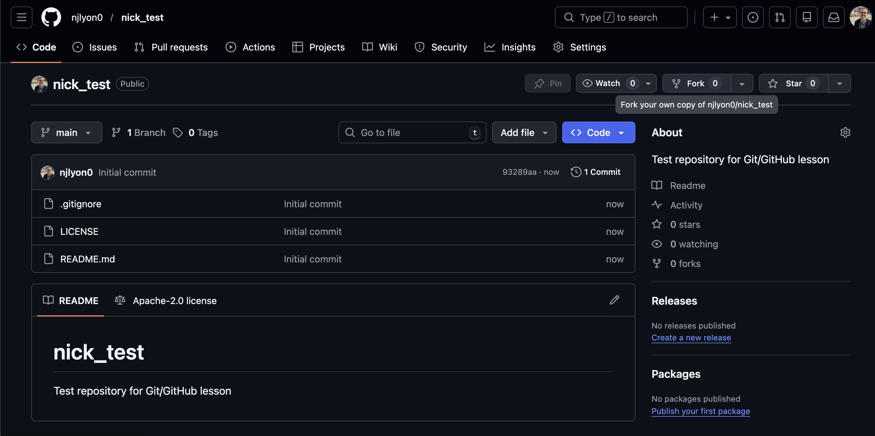 Screen capture of the main landing page for a brand new GitHub repository