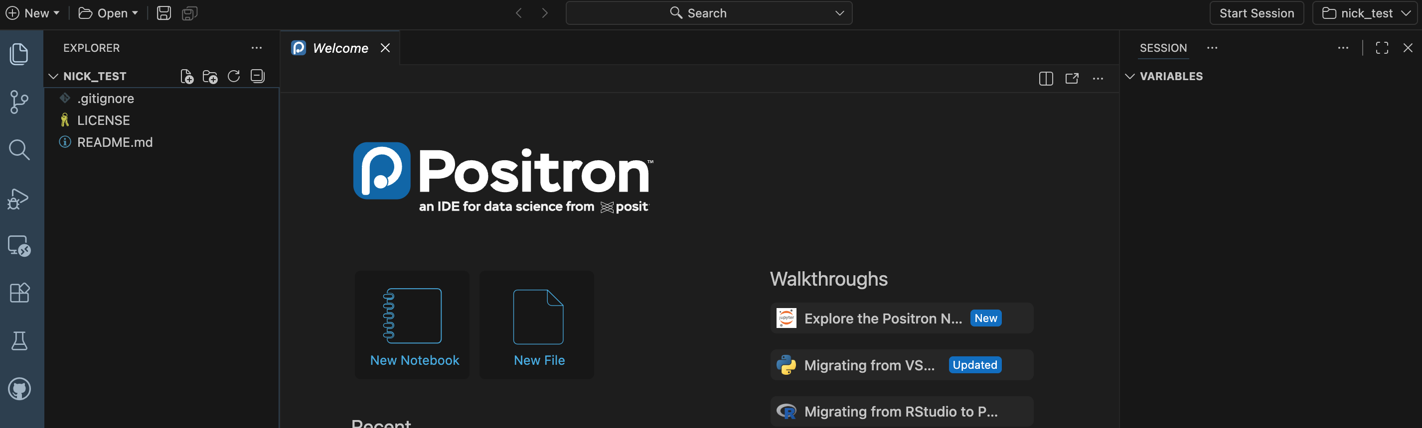 Screen capture of Positron after successfully cloning a new repository from GitHub