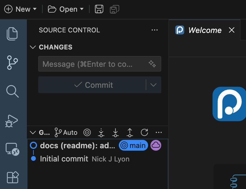 Screen capture of Positron's 'source control' pane after cloning a new repository from GitHub before editing it