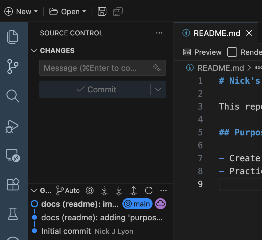 Screen capture of Positron's 'source control' tab where no files are showing as changed or staged