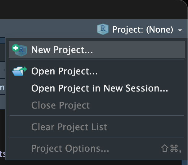 Screen capture of the project dropdown menu in RStudio